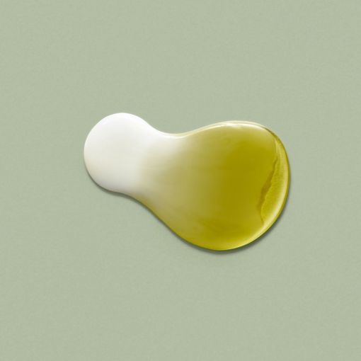 Зволожувальна есенція з екстрактом матча Dr.Ceuracle Jeju Matcha Tea Essence 150 мл